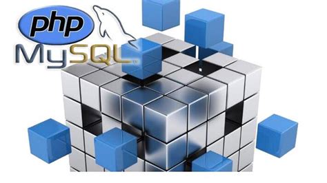 Datbase Image Programming 的图像结果