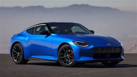 101z 2024 usa,Players can explore va