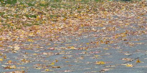 Weekend weather is about timing rain