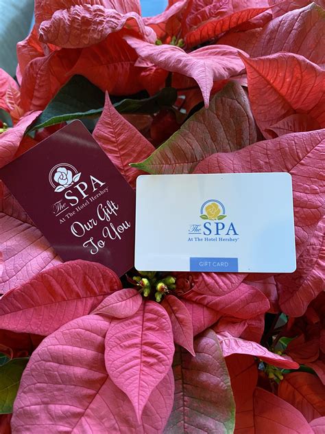 Holiday Gift Card Deals at the Spas in Hershey
