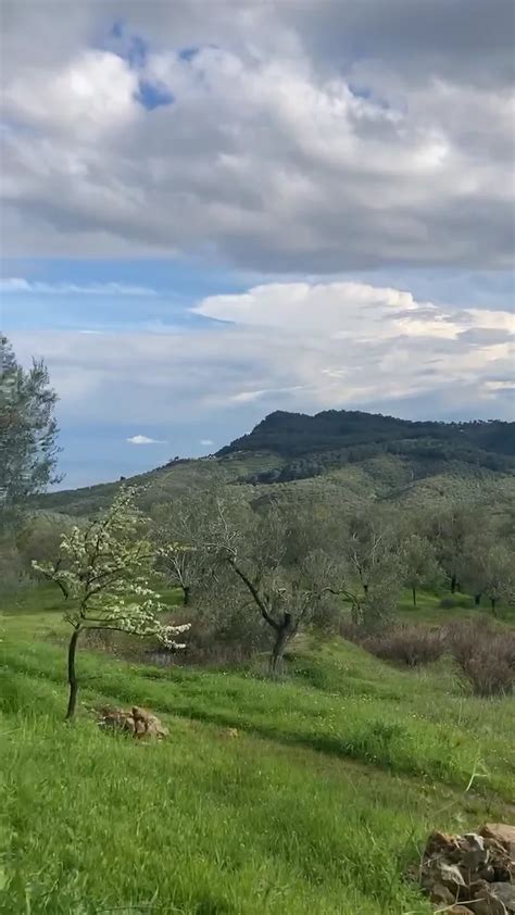 Image result for Vimeo One String