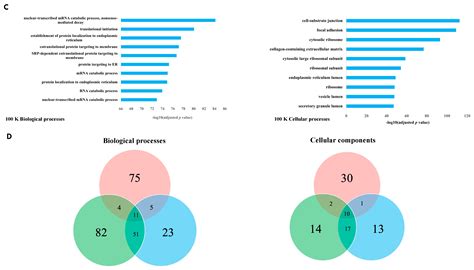 Small and Large Extracellular Vesicles Derived from Pleural ...