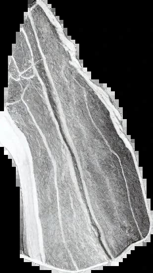 Image result for V-shape Soil Collection