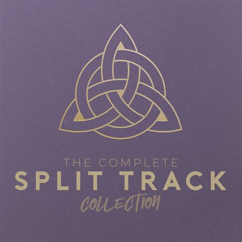 Image result for Split-Track
