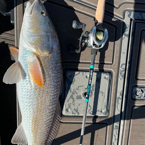 Salt Series Fishing Rods – KISTLER Fishing