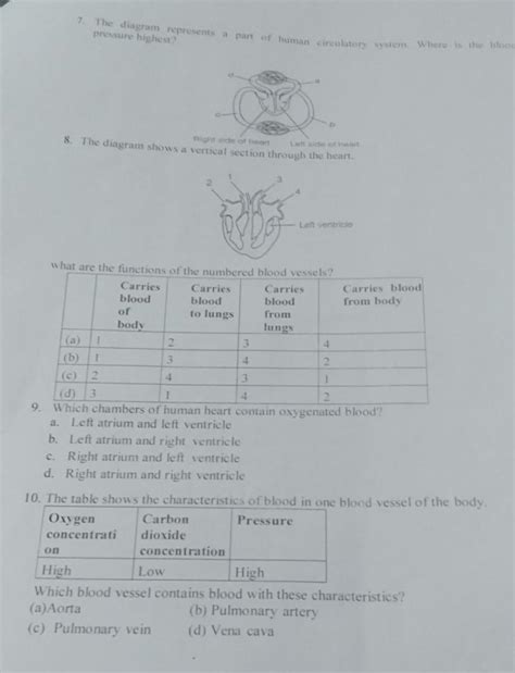 please answer the question - Brainly.in