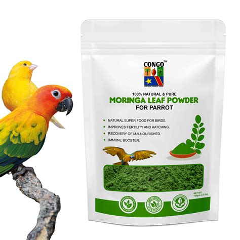 Congo 100gm Moringa Powder to Provide Essential Proteins for Budgies ...