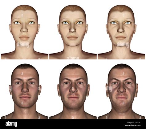 Image result for Aging Process Animation