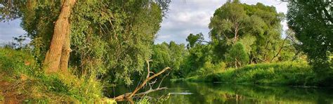 Hôtel Campanile NATURE Lille – Lomme