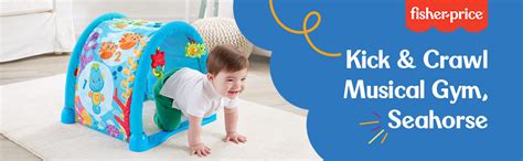 Fisher-Price Kick 'n Crawl Musical Seahorse Gym (Multicolor) : Amazon ...