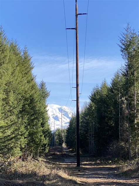 Nisqually State Park — Washington Trails Association