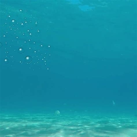 Image result for Stop Motion Fish