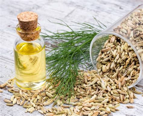 Perfect Ways To Add Fennel Seeds To Your Beauty Regime | Herzindagi