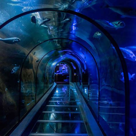 FORT KIJKDUIN (MUSEUM AND AQUARIUM) (2026) All You Need to Know BEFORE ...