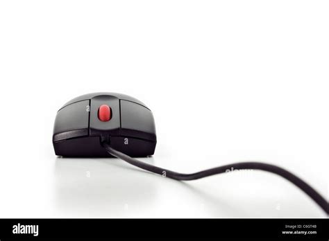 Computer Mouse Front View 的图像结果