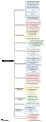 Revision Notes - Entrepreneurial Journey, Entrepreneurship, Class 11 Mind