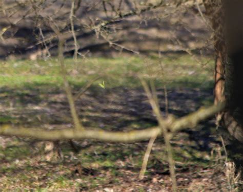 THE BEST Places to Visit in Magadino (2025) - Must-See Attractions