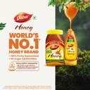 Dabur Honey|100% Pure|No Sugar Adulteration|Worlds No.1 Honey Brand ...