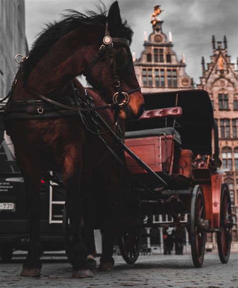 Four Odd Hamilton Laws That Make Perfect Sense | McKenzie & Snyder LLP