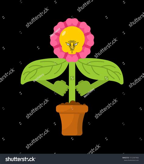 Angry Plant Flowers 的图像结果