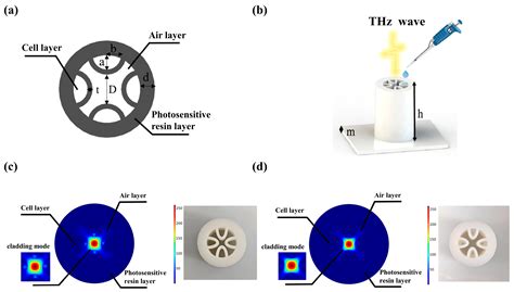 A Novel Optical Fiber Terahertz Biosensor Based on Anti-Resonance for ...