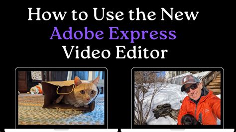 How to Use Adobe Video Editor 的图像结果