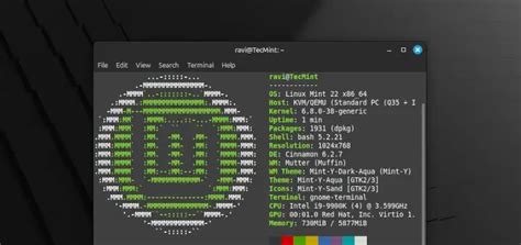 Image result for Install Linux Mint