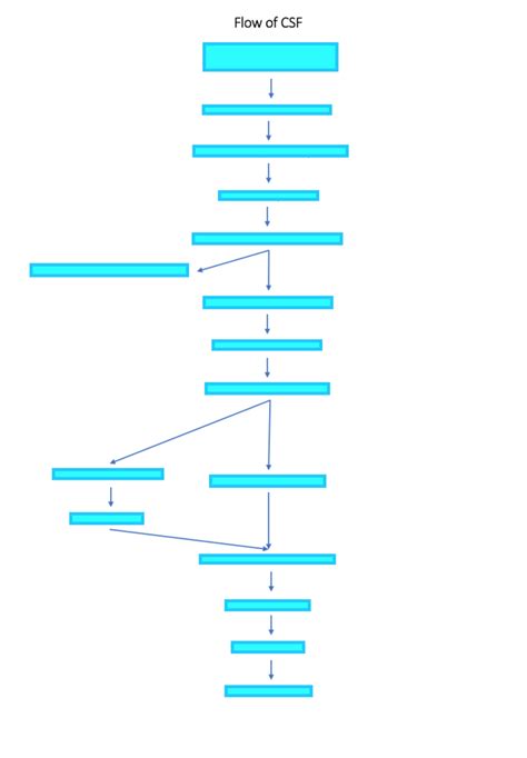 Anatomy Lab 9 Flow of CSF Diagram | Quizlet