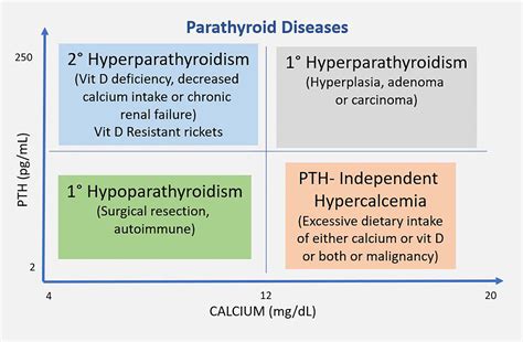 Hypoparathyroidism Signs And Symptoms Parathyroid Disease In Pregnancy