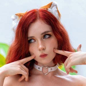 Image result for Fox in Python Code