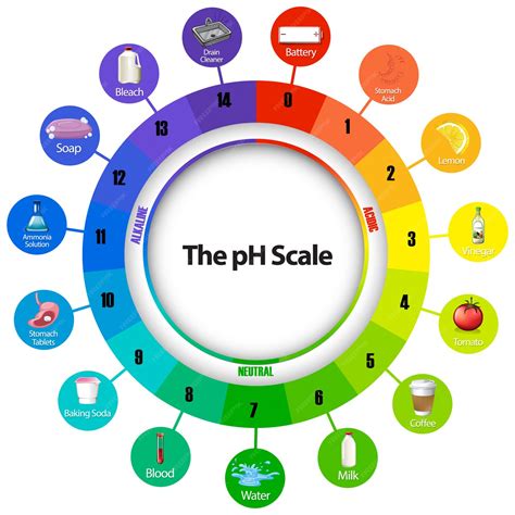 Premium Vector | Diagram showing ph scale