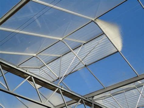 Image result for Insect Garden Screen