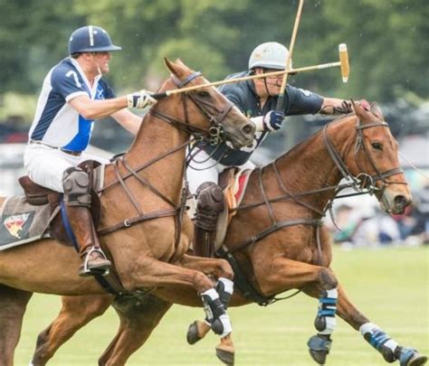 The Orgin of Polo Shirt 的图像结果