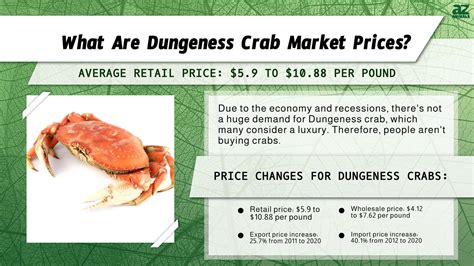 Dungeness Crab Market Prices in 2024: What to Expect When Buying - A-Z ...