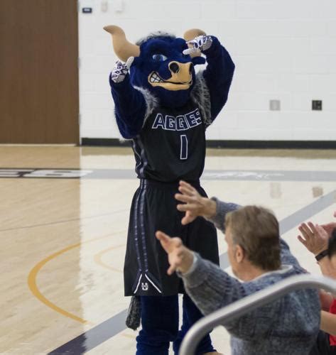 PHOTO GALLERY: USU 3, UNLV 0 volleyball | Sports | cachevalleydaily.com