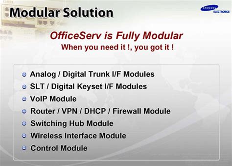 ::Magnum Telesystem :: Business Solutions