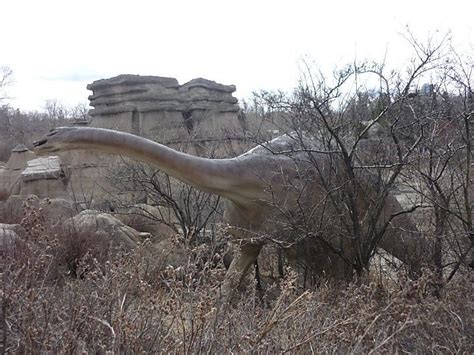 Calgary Zoo Office Photos | Glassdoor
