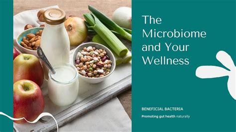 Gut Health 101: How Your Microbiome Impacts Wellness