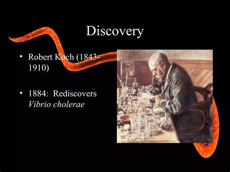 vibro cholerae (physiology and toxicology of this bacteria | PPT