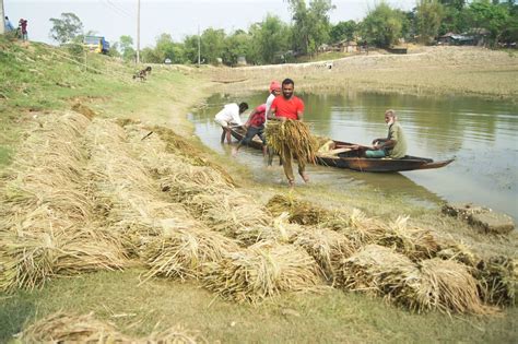 Incessant rain destroys standing crops, vegetables