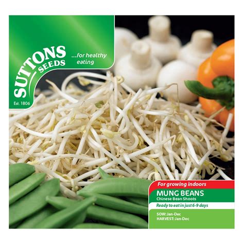Suttons Mung beans Seeds, Chinese bean shoots | Departments | DIY at B&Q
