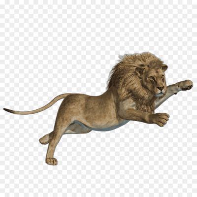 Loin High Resolution PNG - Pngsource