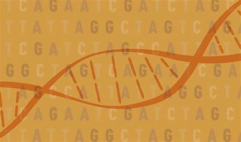 Rare genetic variants can reveal much about disease biology | Broad ...