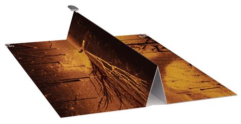 Image result for How to Read Side Scan Imaging