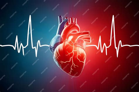 Premium Photo | Human heart with cardiogram for medical heart health ...