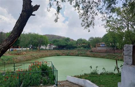 Haryana: Amrit Sarovars Rejuvenate Villages, Resolve Wastewater Problem ...