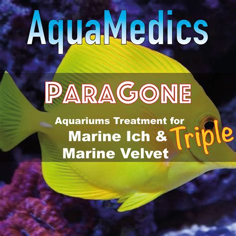 Buy AquaMedics ParaGone Triple - Parasite and Fungal for Marine Ich ...