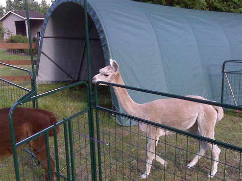 Rhino Shelter 12X20 Livestock Shelter (Round Style) | Free Shipping