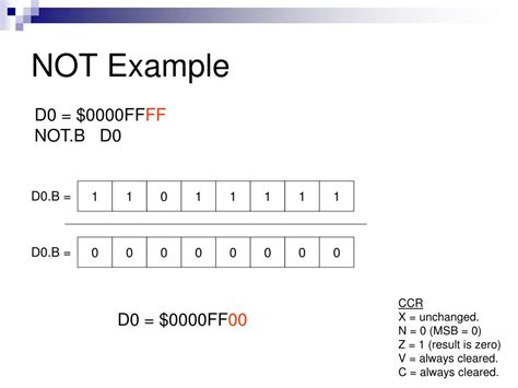 Rotate Right Operation 的图像结果