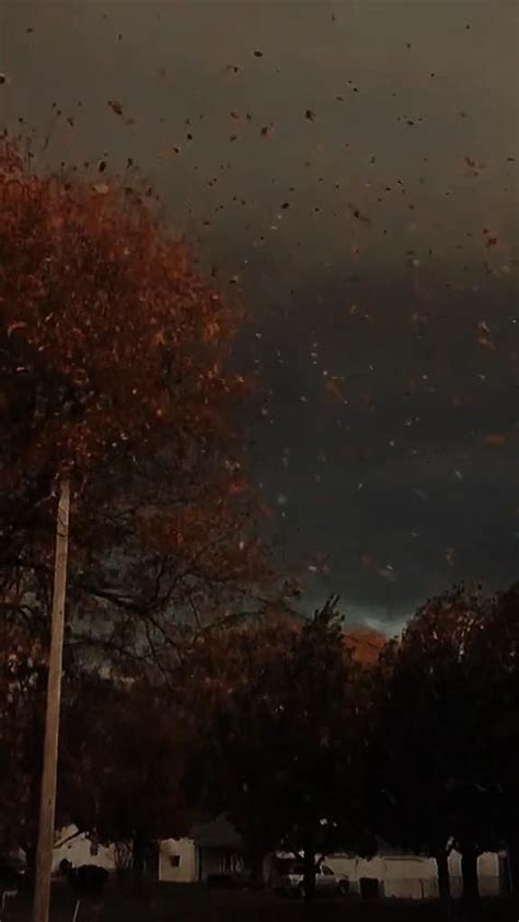 Best Practices on Vimeo Aesthetic Background Aesthetic